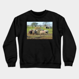 Herwick Sheep having their lunch... Crewneck Sweatshirt